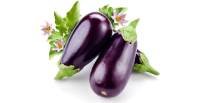 Eggplant